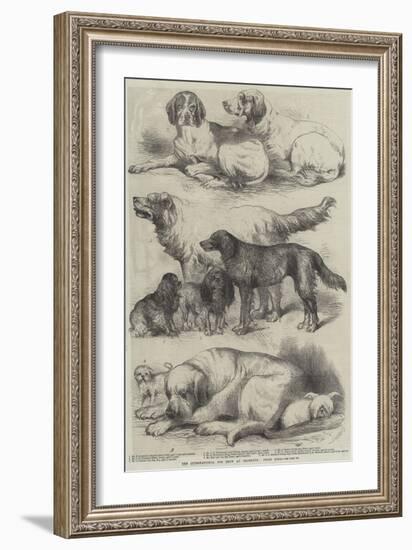 The International Dog Show at Islington, Prize Dogs-Harrison William Weir-Framed Giclee Print