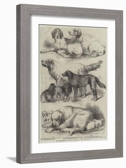 The International Dog Show at Islington, Prize Dogs-Harrison William Weir-Framed Giclee Print