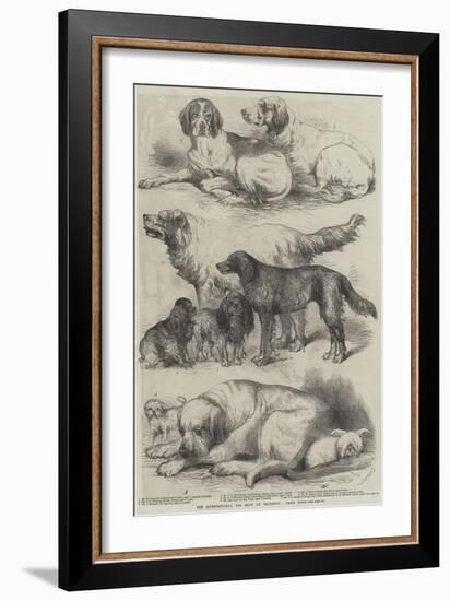 The International Dog Show at Islington, Prize Dogs-Harrison William Weir-Framed Giclee Print