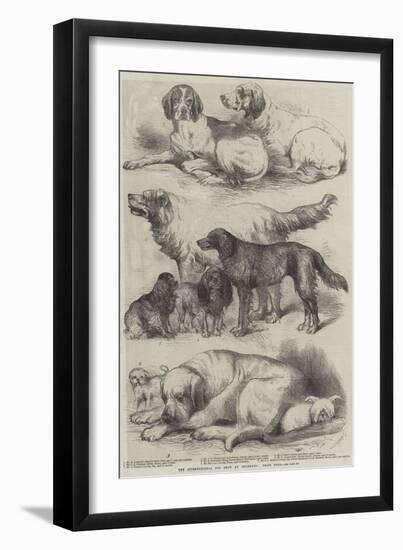 The International Dog Show at Islington, Prize Dogs-Harrison William Weir-Framed Giclee Print