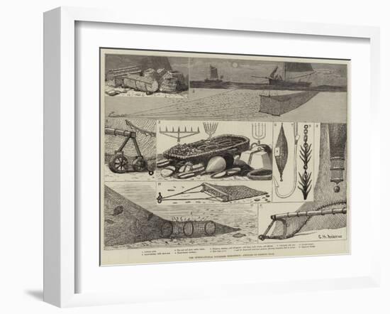 The International Fisheries Exhibition, Articles of Fishing Gear-George Henry Andrews-Framed Giclee Print