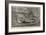 The International Fisheries Exhibition, Grace Darling's Boat-George Henry Andrews-Framed Giclee Print