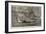 The International Fisheries Exhibition, Grace Darling's Boat-George Henry Andrews-Framed Giclee Print