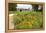 The International Peace Gardens Near Dunseith, North Dakota, USA-Chuck Haney-Framed Premier Image Canvas