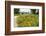 The International Peace Gardens Near Dunseith, North Dakota, USA-Chuck Haney-Framed Photographic Print