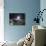 The International Space Station Backdropped by the Bright Sun Over Earth's Horizon-Stocktrek Images-Photographic Print displayed on a wall