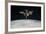 The International Space Station in Orbit Above Earth-null-Framed Photographic Print