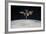 The International Space Station in Orbit Above Earth-null-Framed Photographic Print