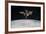 The International Space Station in Orbit Above Earth-null-Framed Photographic Print