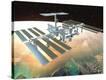 Stretched Canvas Print