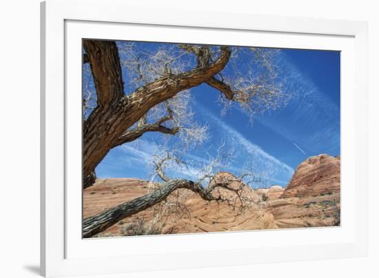 The Interwoven Desert-Andrew Geiger-Framed Giclee Print
