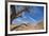 The Interwoven Desert-Andrew Geiger-Framed Giclee Print