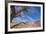 The Interwoven Desert-Andrew Geiger-Framed Giclee Print