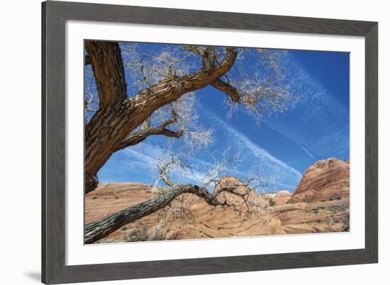 The Interwoven Desert-Andrew Geiger-Framed Giclee Print