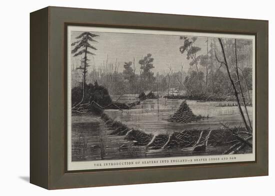 The Introduction of Beavers into England, a Beaver Lodge and Dam-null-Framed Premier Image Canvas