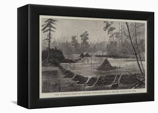 The Introduction of Beavers into England, a Beaver Lodge and Dam-null-Framed Premier Image Canvas