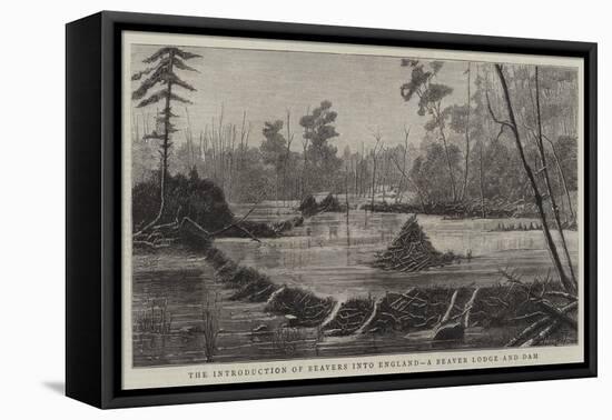 The Introduction of Beavers into England, a Beaver Lodge and Dam-null-Framed Premier Image Canvas