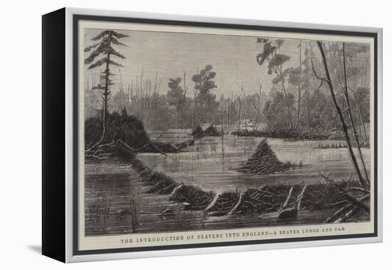 The Introduction of Beavers into England, a Beaver Lodge and Dam-null-Framed Premier Image Canvas