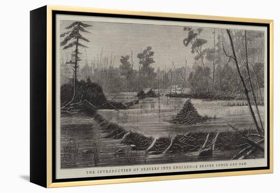 The Introduction of Beavers into England, a Beaver Lodge and Dam-null-Framed Premier Image Canvas