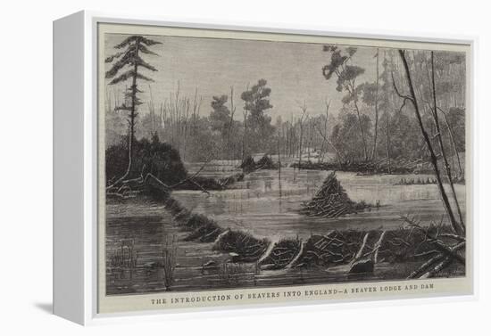 The Introduction of Beavers into England, a Beaver Lodge and Dam-null-Framed Premier Image Canvas