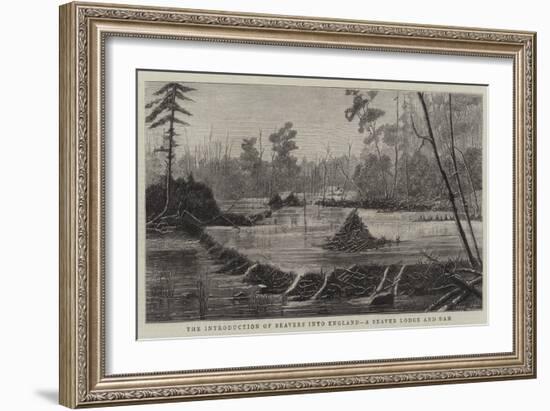 The Introduction of Beavers into England, a Beaver Lodge and Dam-null-Framed Giclee Print