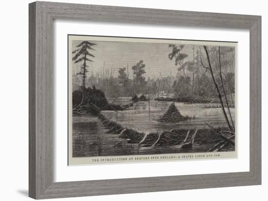 The Introduction of Beavers into England, a Beaver Lodge and Dam-null-Framed Giclee Print