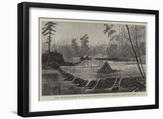 The Introduction of Beavers into England, a Beaver Lodge and Dam-null-Framed Giclee Print