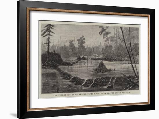 The Introduction of Beavers into England, a Beaver Lodge and Dam-null-Framed Giclee Print