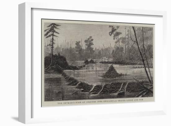 The Introduction of Beavers into England, a Beaver Lodge and Dam-null-Framed Giclee Print