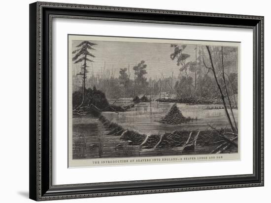 The Introduction of Beavers into England, a Beaver Lodge and Dam-null-Framed Giclee Print