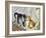 The Introduction: Silver and Ginger Kittens-Julius Adam-Framed Giclee Print