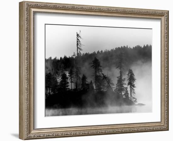 The Invisible-Sharon Wish-Framed Photographic Print