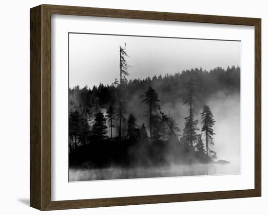 The Invisible-Sharon Wish-Framed Photographic Print