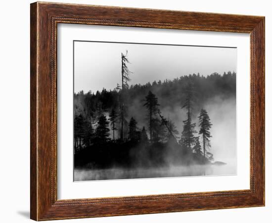 The Invisible-Sharon Wish-Framed Photographic Print