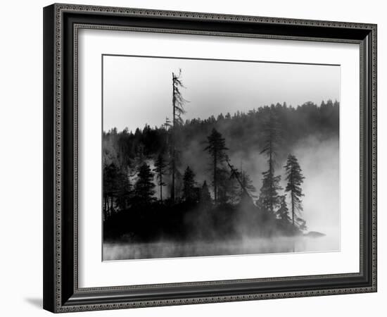 The Invisible-Sharon Wish-Framed Photographic Print