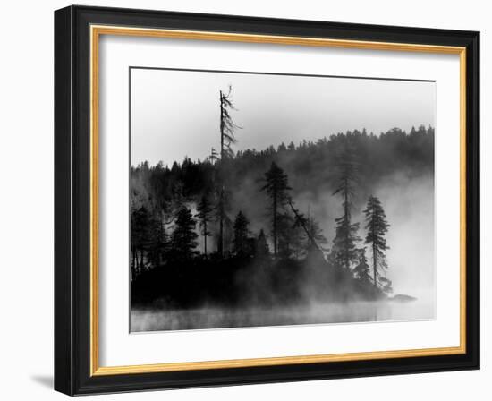 The Invisible-Sharon Wish-Framed Photographic Print