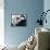 The Ipcress File-null-Framed Stretched Canvas displayed on a wall