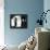 The Ipcress File-null-Framed Stretched Canvas displayed on a wall