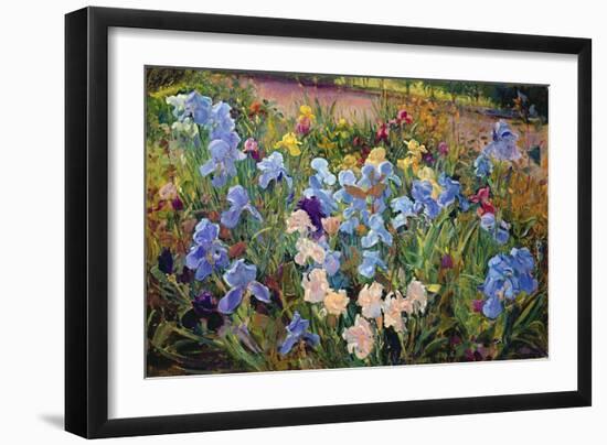 The Iris Bed, 1993-Timothy Easton-Framed Giclee Print