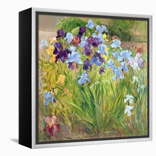 The Iris Bed, Bedfield, 1996-Timothy Easton-Framed Premier Image Canvas