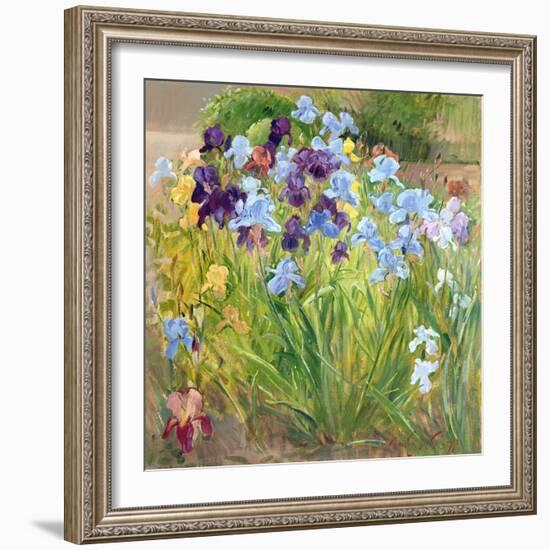 The Iris Bed, Bedfield, 1996-Timothy Easton-Framed Giclee Print