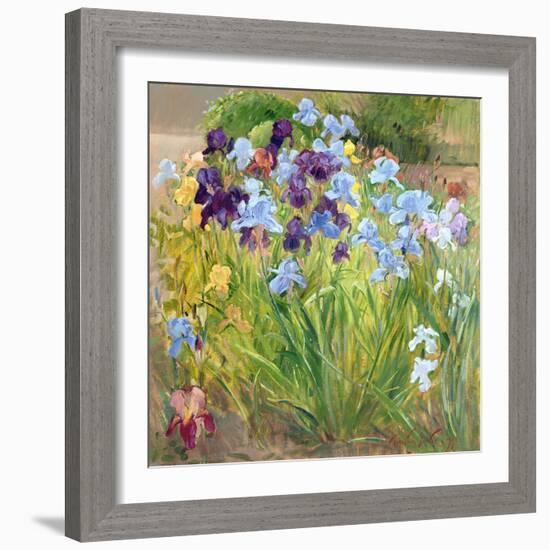 The Iris Bed, Bedfield, 1996-Timothy Easton-Framed Giclee Print