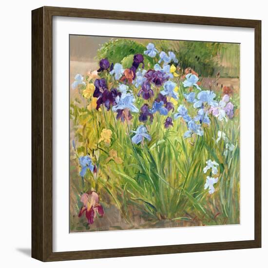 The Iris Bed, Bedfield, 1996-Timothy Easton-Framed Giclee Print