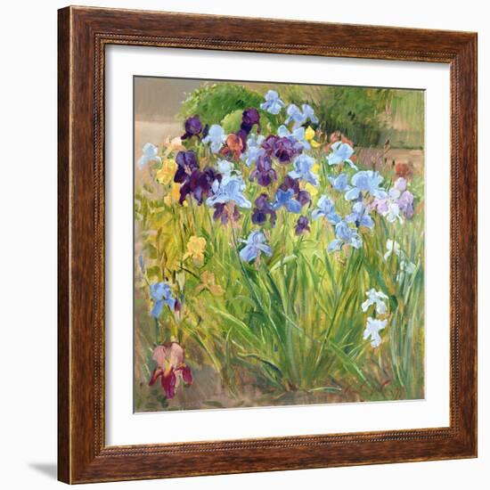 The Iris Bed, Bedfield, 1996-Timothy Easton-Framed Giclee Print