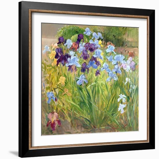 The Iris Bed, Bedfield, 1996-Timothy Easton-Framed Giclee Print