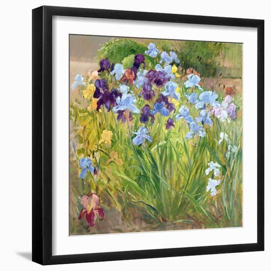 The Iris Bed, Bedfield, 1996-Timothy Easton-Framed Giclee Print