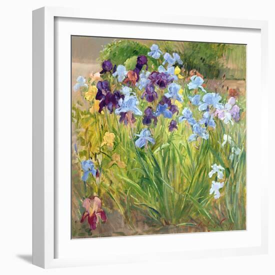 The Iris Bed, Bedfield, 1996-Timothy Easton-Framed Giclee Print