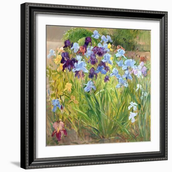 The Iris Bed, Bedfield, 1996-Timothy Easton-Framed Giclee Print