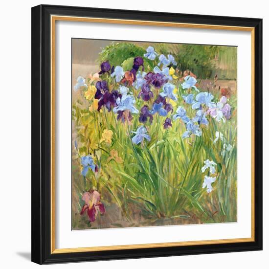 The Iris Bed, Bedfield, 1996-Timothy Easton-Framed Giclee Print