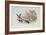 The Jackdaw and the Doves-Randolph Caldecott-Framed Giclee Print